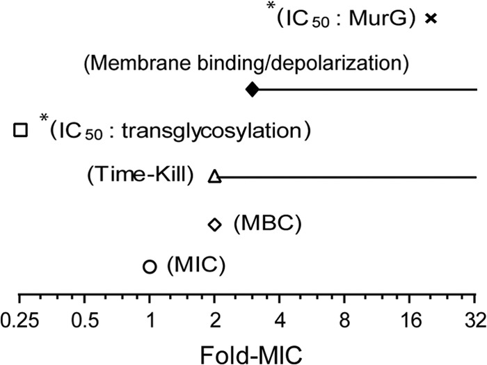 FIG 6