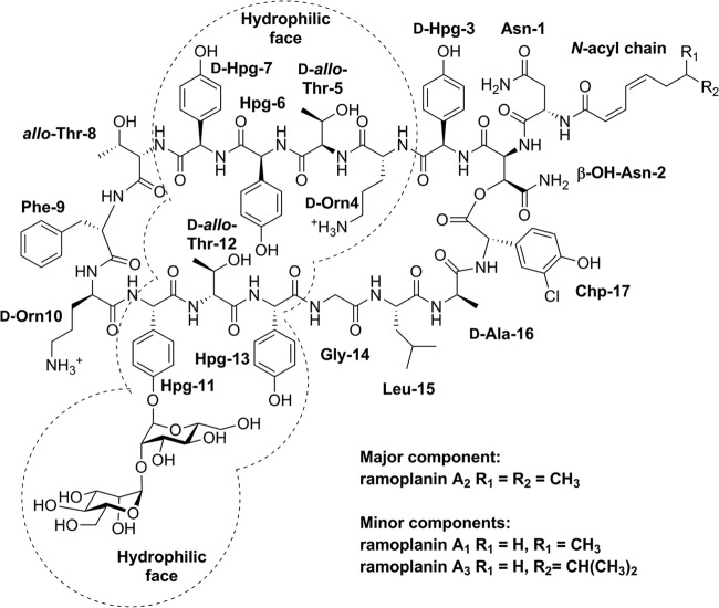 FIG 1