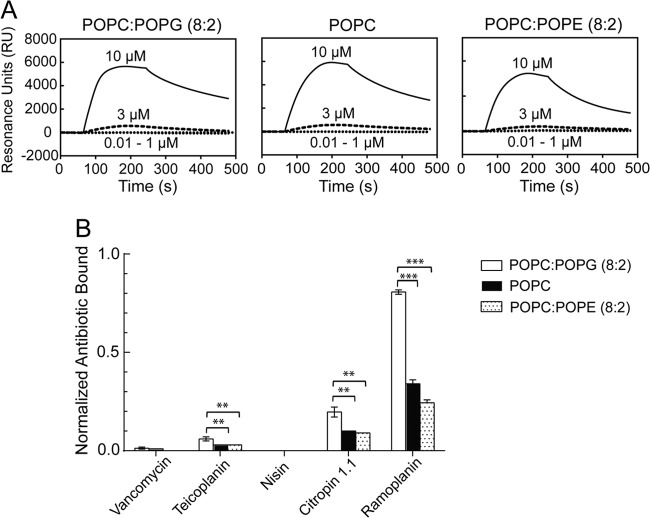 FIG 3