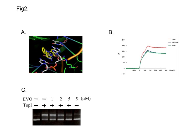 Fig 2