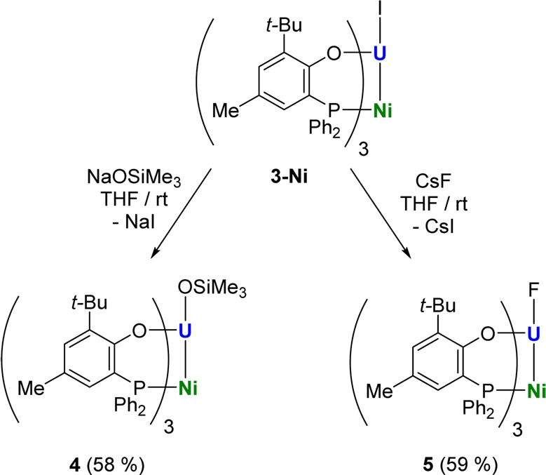 Scheme 3