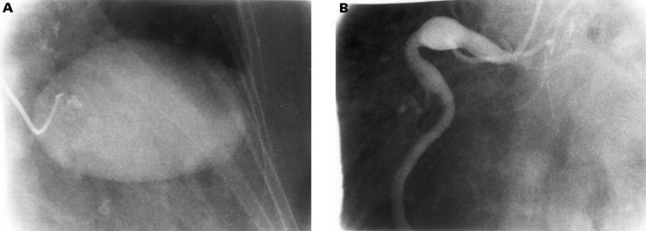 Figure 3  