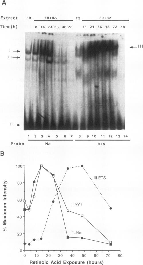 graphic file with name molcellb00012-0086-a.jpg