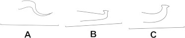Figure 8