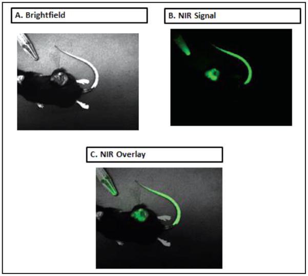 Figure 4