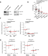 Figure 6—figure supplement 1.