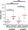 Figure 6—figure supplement 3.