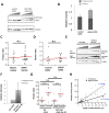 Figure 1—figure supplement 1.