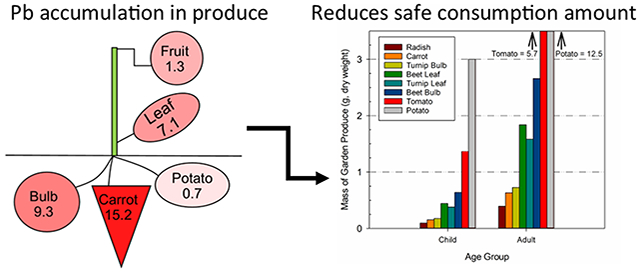 graphic file with name nihms-1611190-f0001.jpg