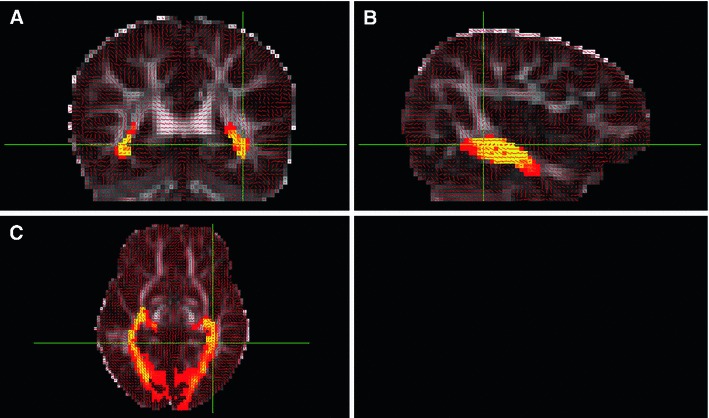 Fig. 6