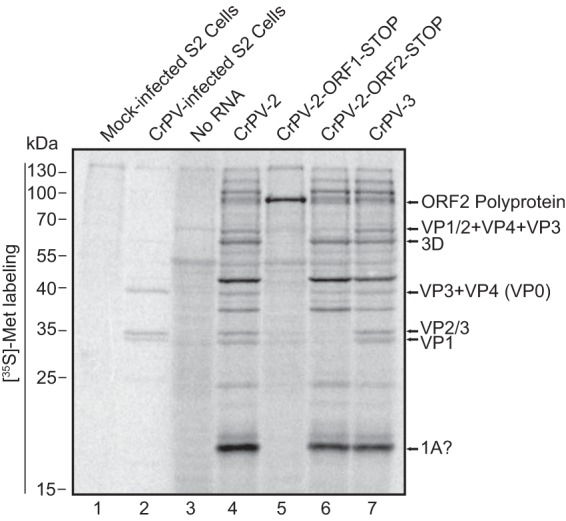 FIG 4