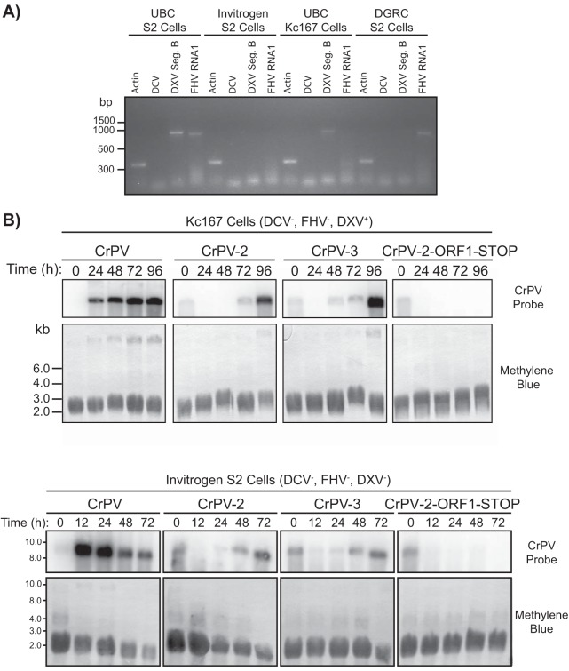 FIG 8