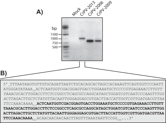 FIG 1