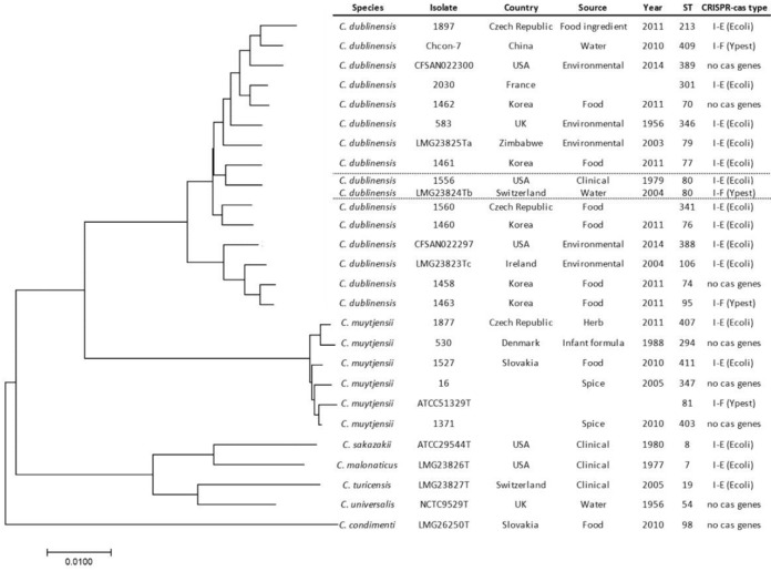 FIGURE 2