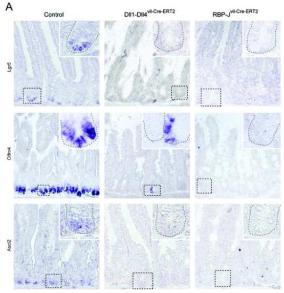 Figure5