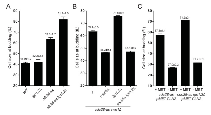 Figure 3.