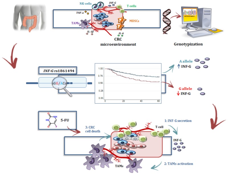 GRAPHICAL ABSTRACT