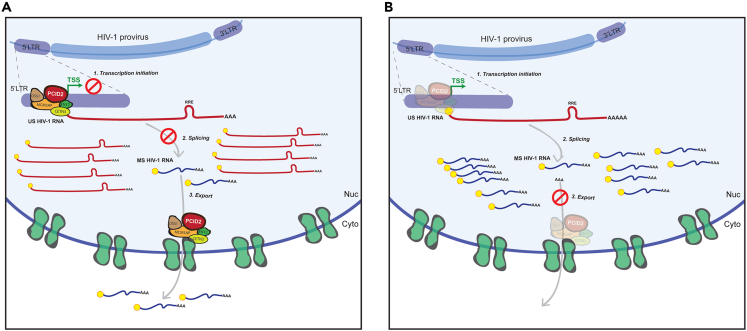 Figure 7