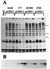 FIG. 7