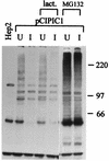 FIG. 8