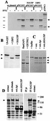 FIG. 9