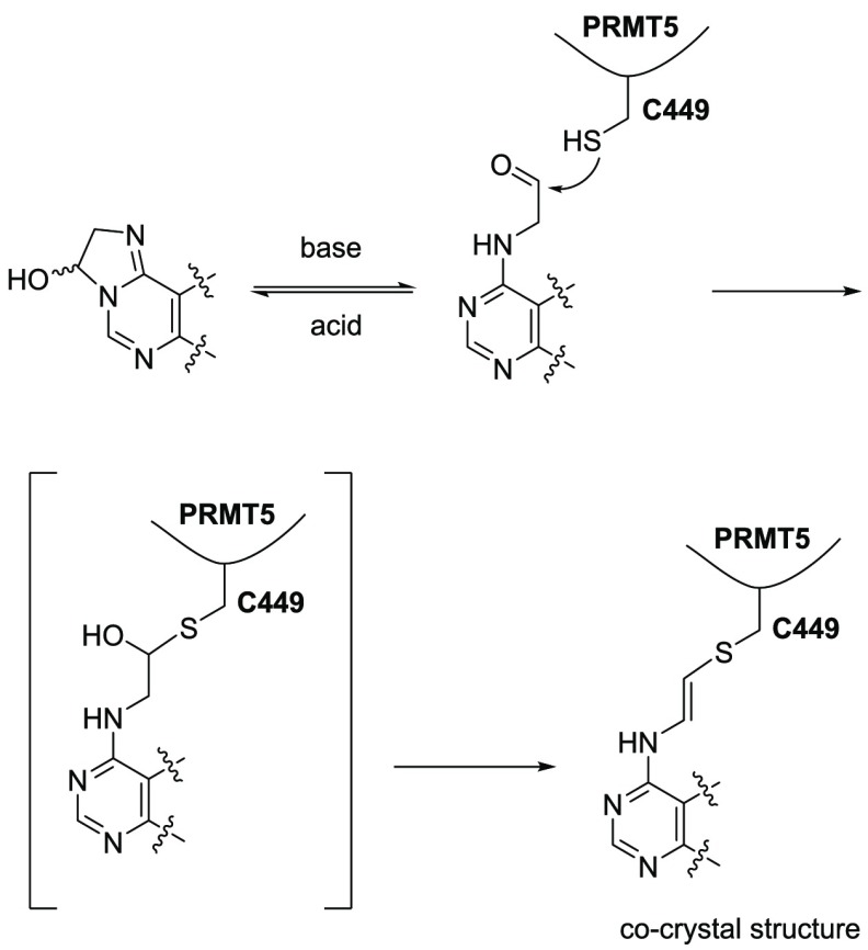 Scheme 2