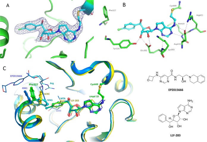 Figure 4