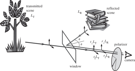 Figure 8.