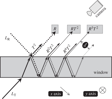 Figure 10.