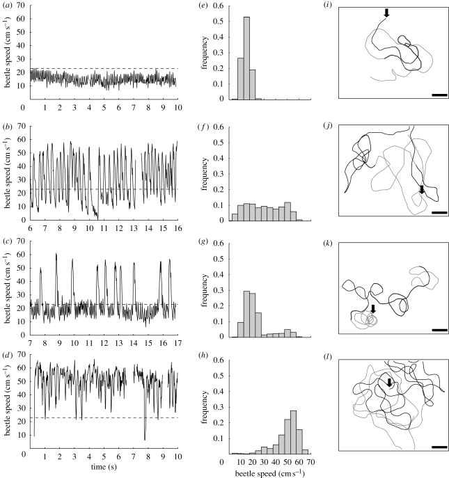 Figure 5.