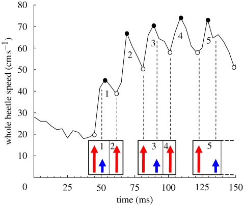 Figure 2.