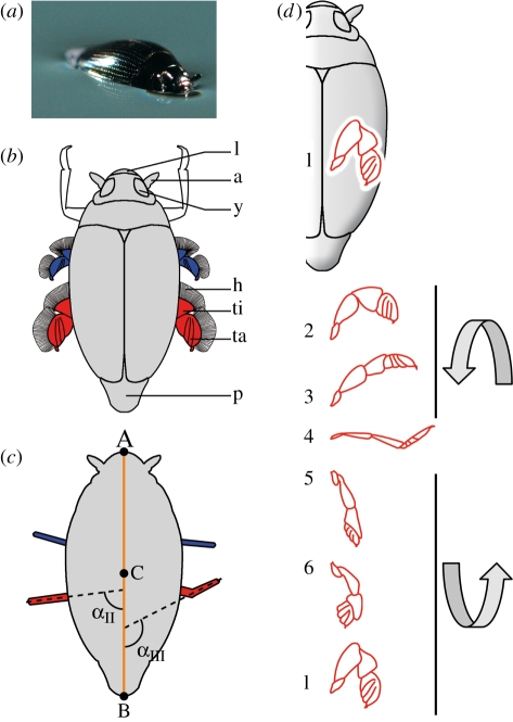 Figure 1.