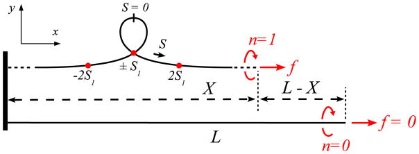 FIG. 12