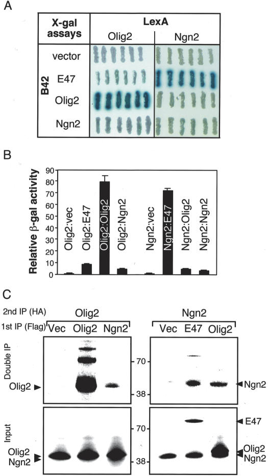 Figure 6.