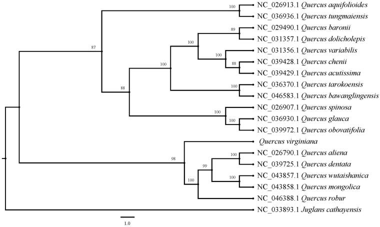 Figure 1.