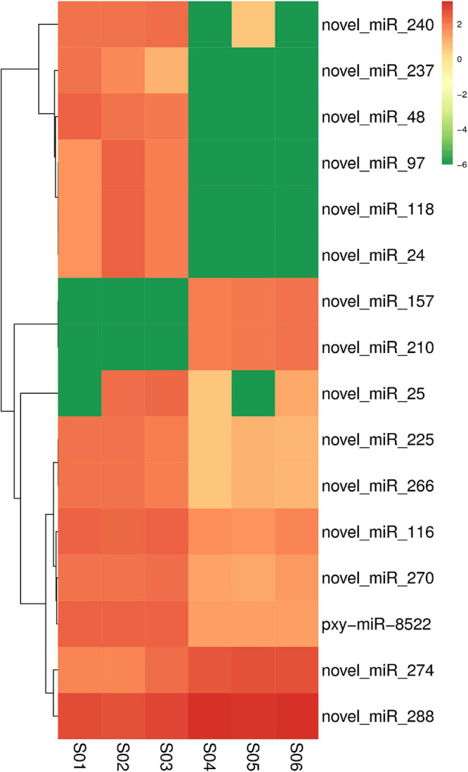 FIGURE 4