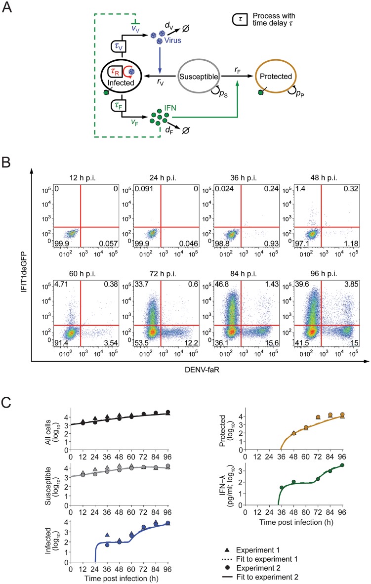 Fig 6