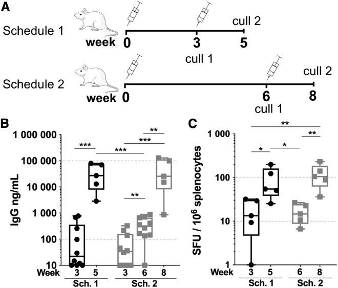 Figure 3