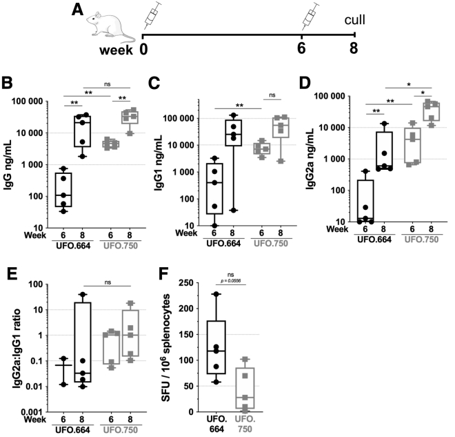 Figure 4