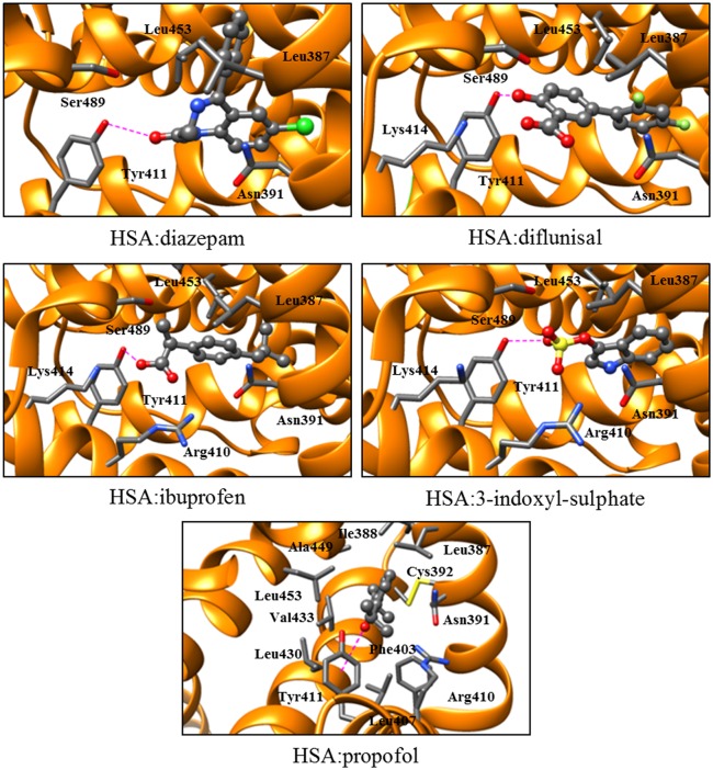 Fig 6