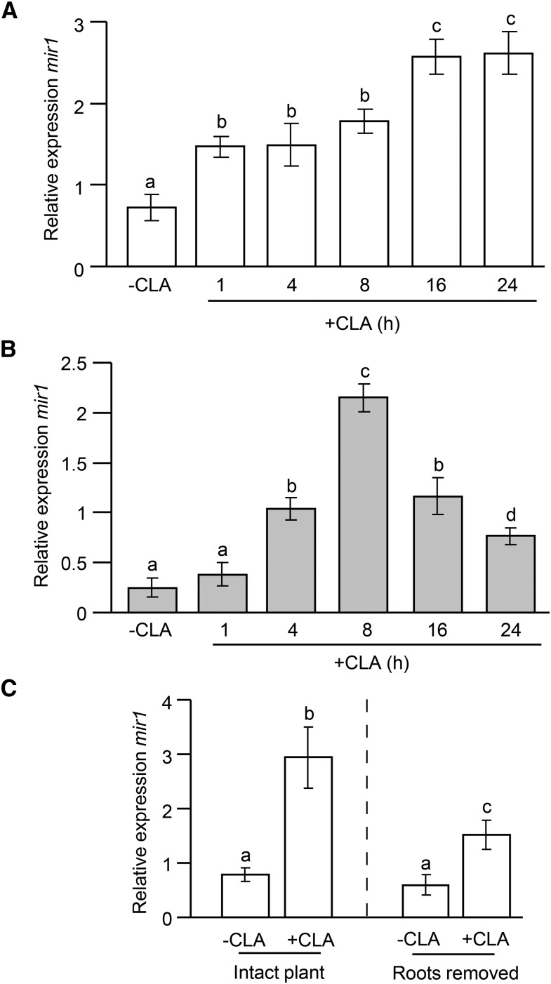 Figure 5.