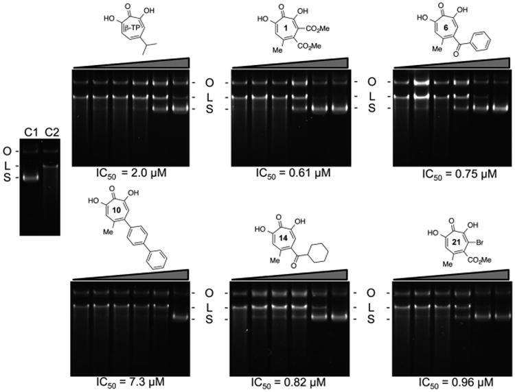 Figure 5