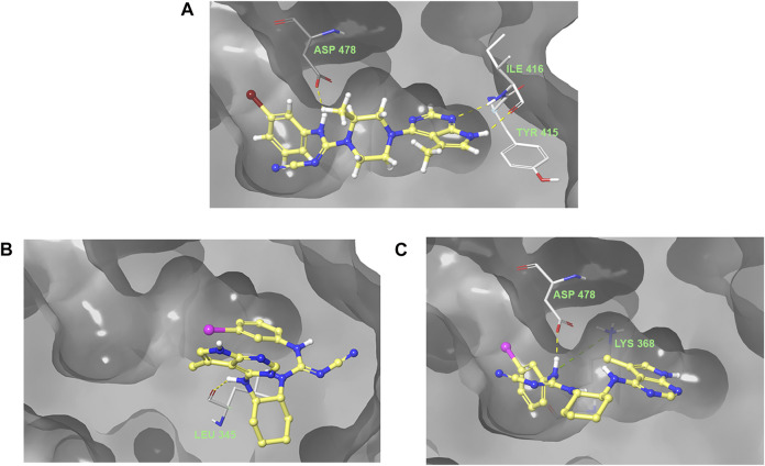 FIGURE 4