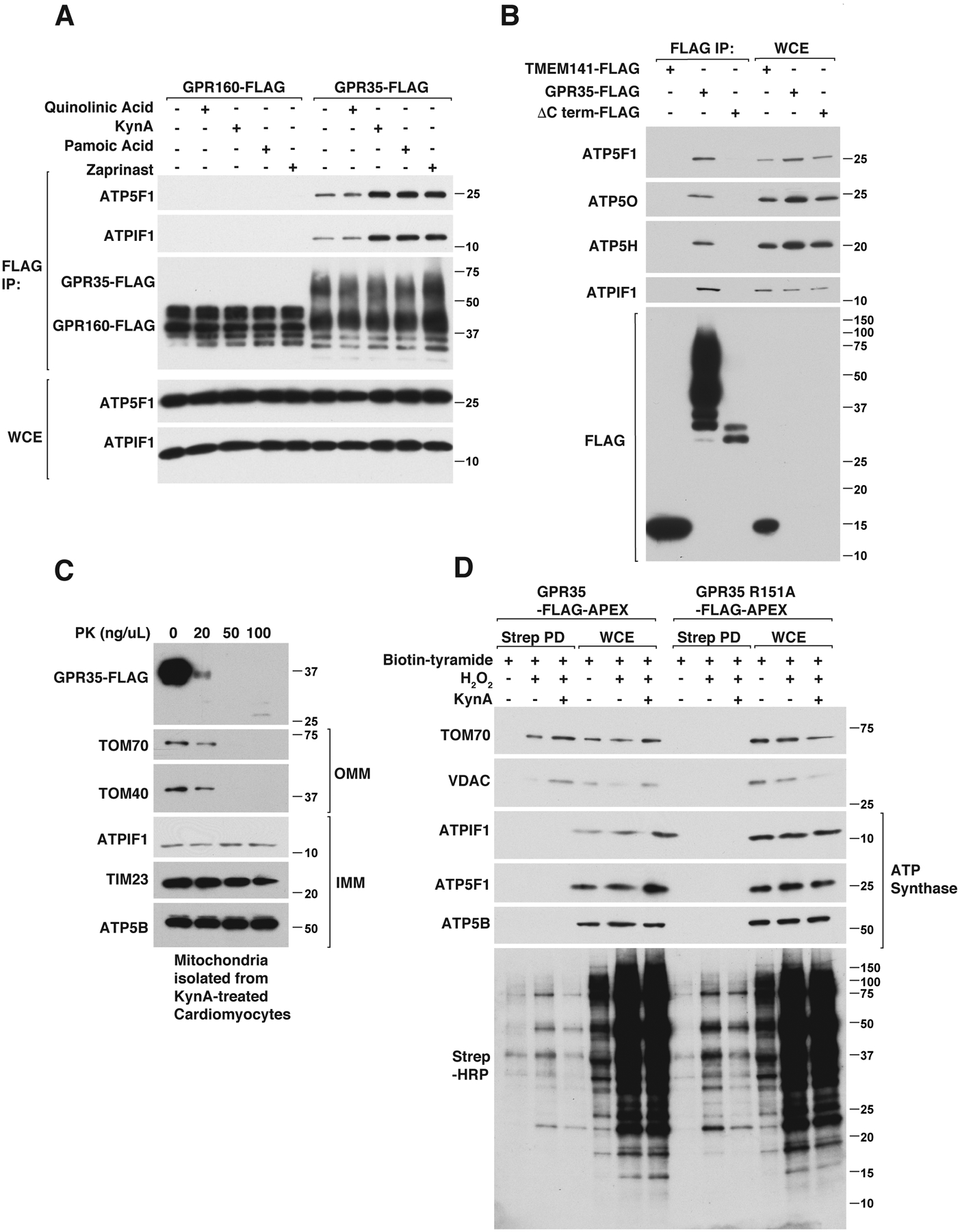 Figure 4: