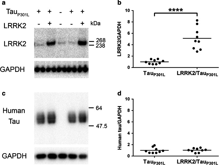 Fig. 4