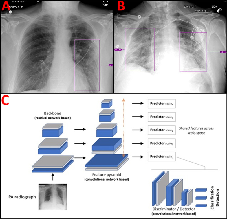 Fig. 2