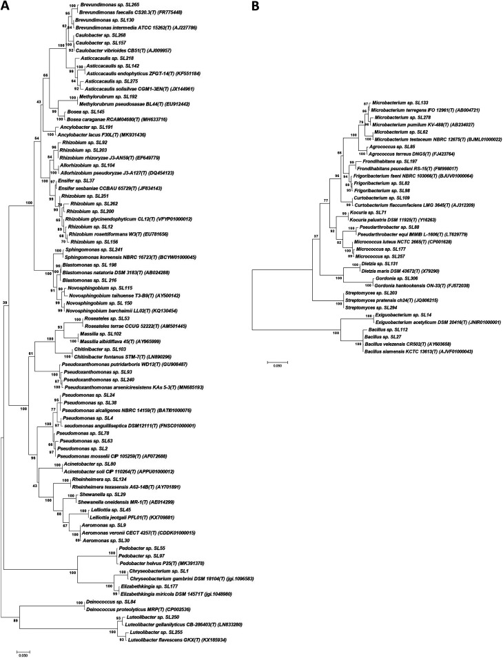 FIG 1