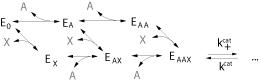 graphic file with name 1742-4682-3-41-i25.gif