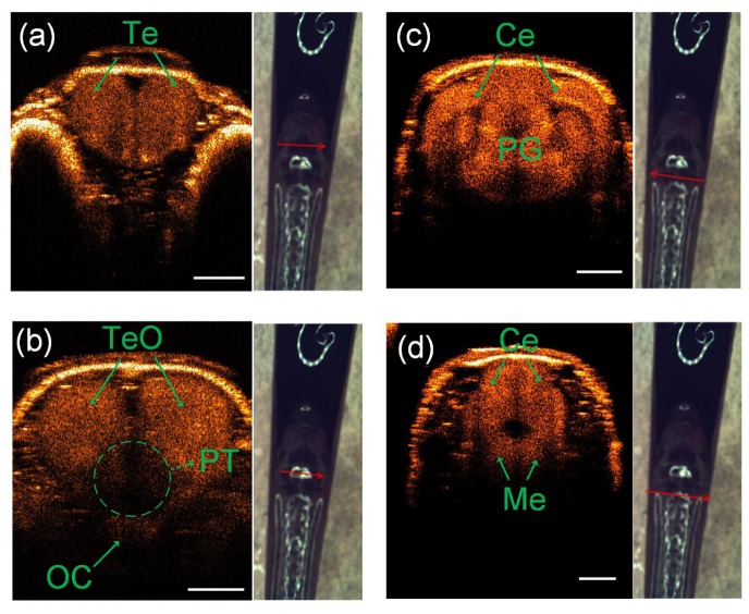 Fig. 3