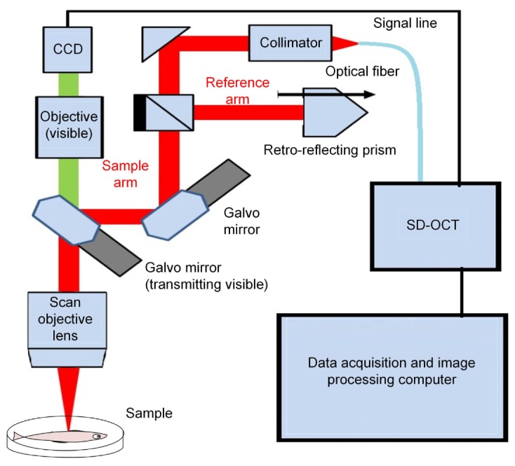 Fig. 1